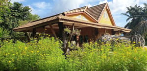 thumbnail: Exterior