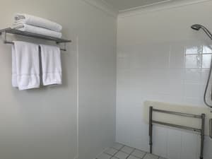 thumbnail: Hand-held showerhead