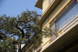 thumbnail: Exterior