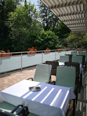 thumbnail: Terrace/patio