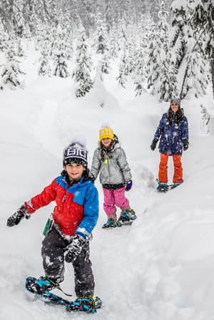 thumbnail: Snow and ski sports