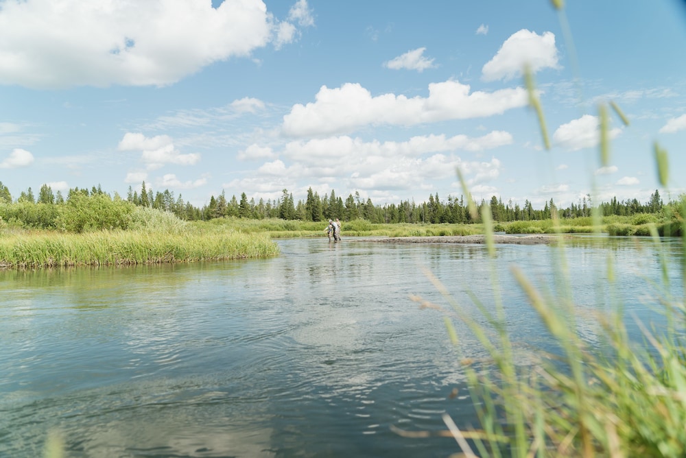 Fishing