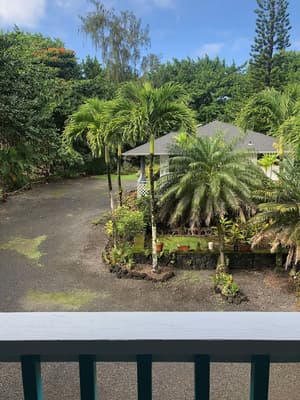 thumbnail: Garden view