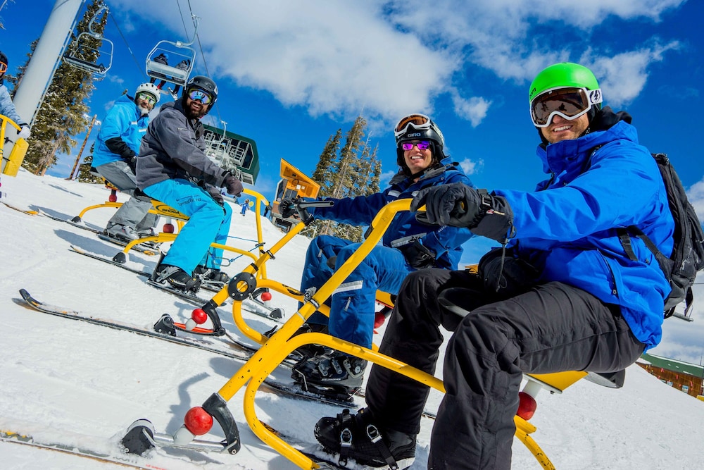 Snow and ski sports