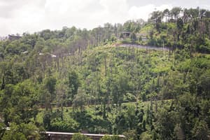 thumbnail: Mountain view