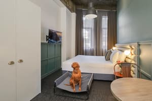 thumbnail: Room