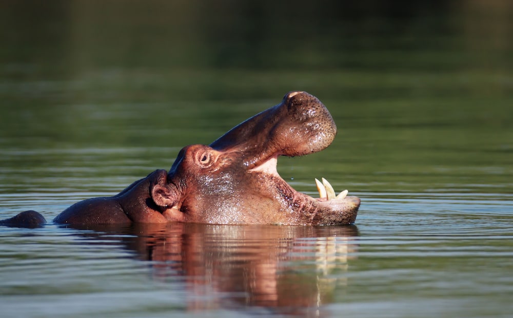 Point of interest