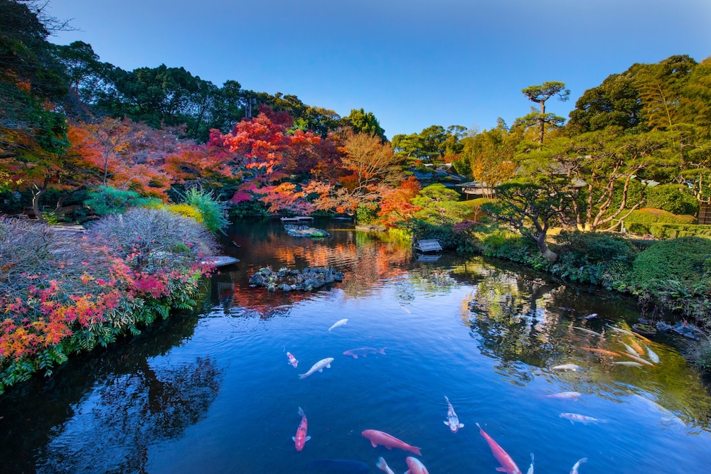 Japanese garden