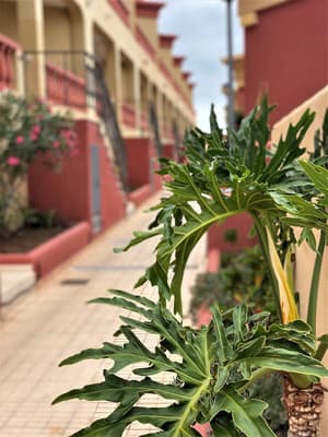 thumbnail: Garden