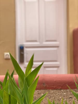 thumbnail: Garden