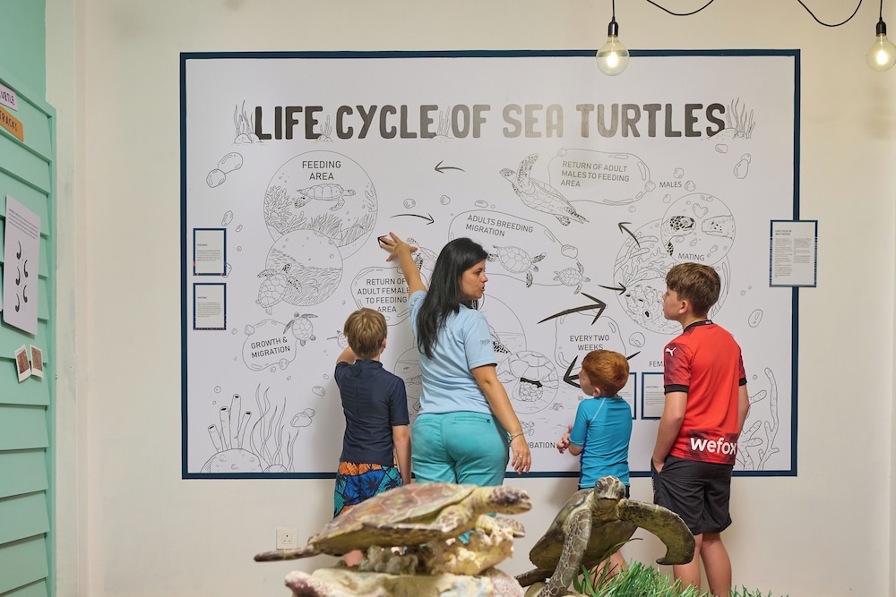 Children's activities