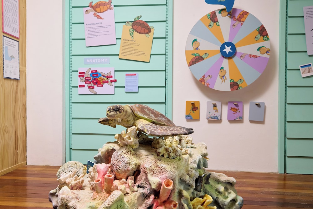 Children's activities