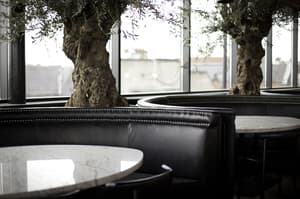 thumbnail: Bar (on property)