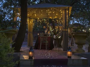thumbnail: Couples dining