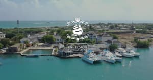 Kingston thumbnail