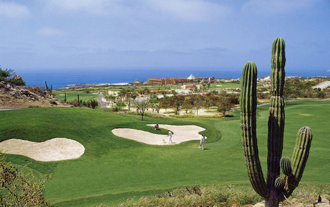 Paradisus Los Cabos Golf Course