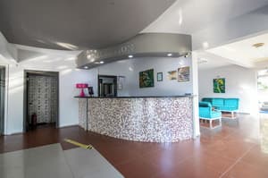 thumbnail: Reception