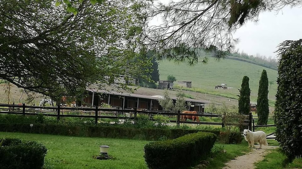 Ecotours