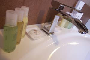 thumbnail: Bathroom amenities