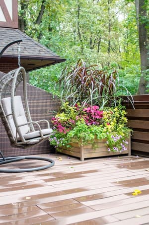 thumbnail: Terrace/patio