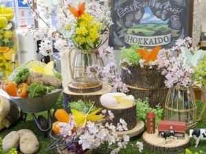 thumbnail: Breakfast buffet