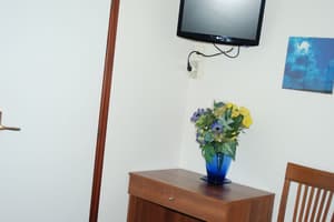 thumbnail: Television