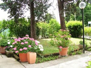 thumbnail: Property grounds
