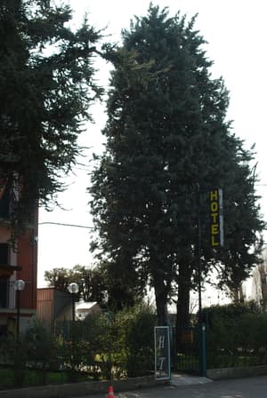 thumbnail: Exterior detail