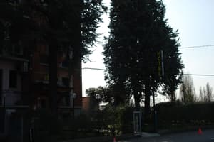 thumbnail: View from property