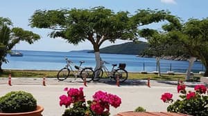 thumbnail: Bicycling