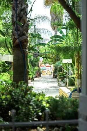 thumbnail: Balcony view