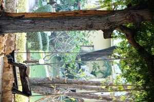 thumbnail: Property grounds