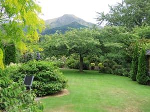 thumbnail: Property grounds
