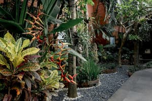 thumbnail: Terrace/patio