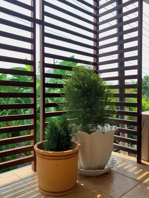 thumbnail: Exterior