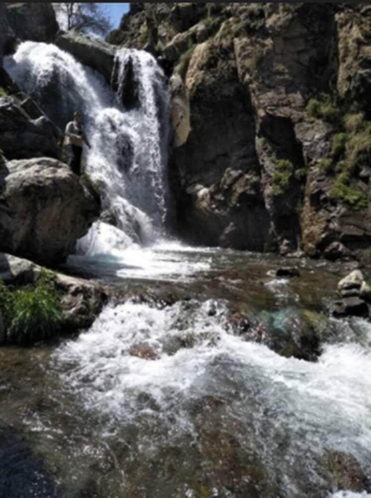 Surfing/boogie boarding