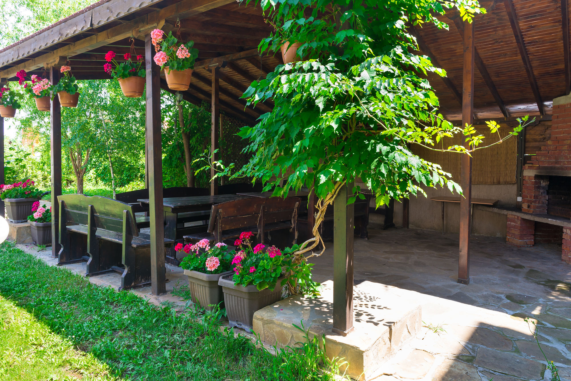 BBQ/Picnic Area