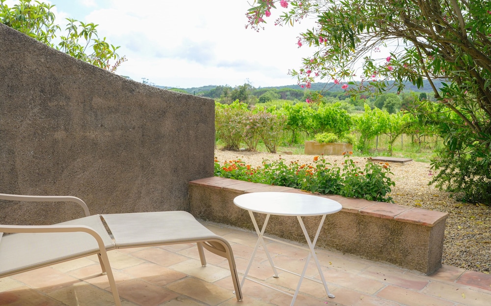 Vineyard view