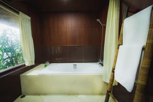 thumbnail: Deep soaking bathtub