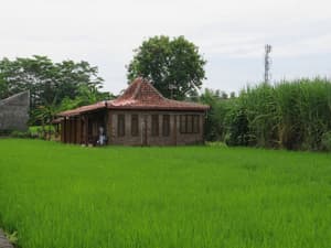 thumbnail: Front of property