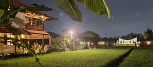thumbnail: Reception