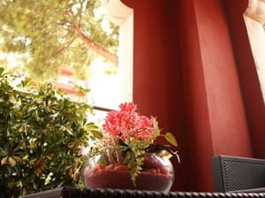 thumbnail: Terrace/patio
