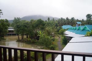 thumbnail: General view