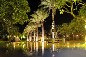 thumbnail: Garden