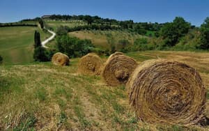 thumbnail: General view
