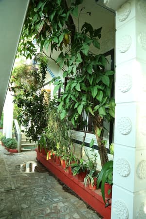 thumbnail: Garden