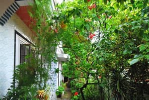 thumbnail: Front of property