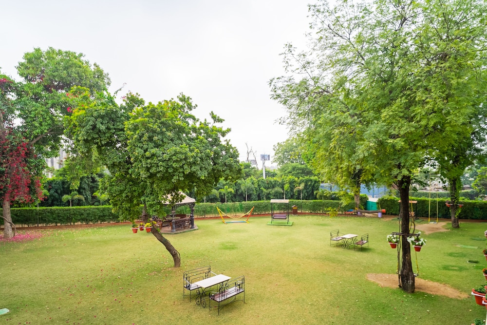 Garden view