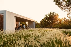 thumbnail: Garden view