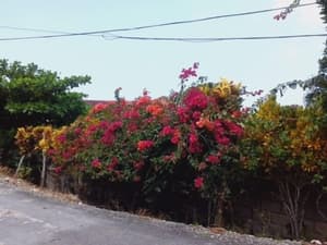 thumbnail: View from property